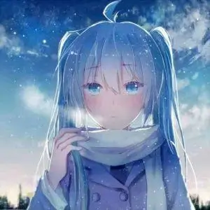 二次元之魂